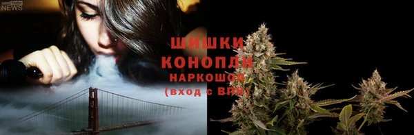 apvp Вяземский