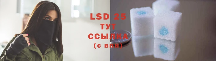 MDMA Вязьма