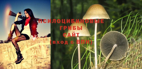 apvp Вяземский
