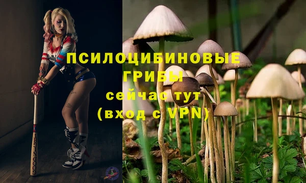 MDMA Вязьма