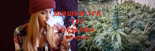 apvp Вяземский