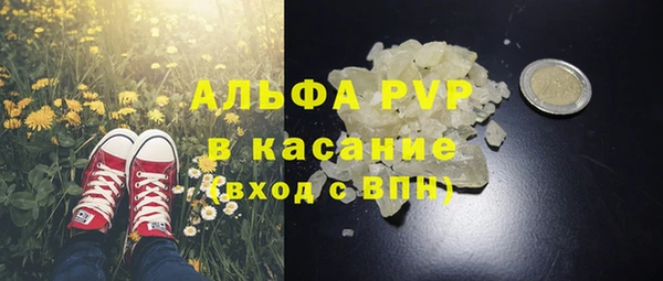 apvp Вяземский