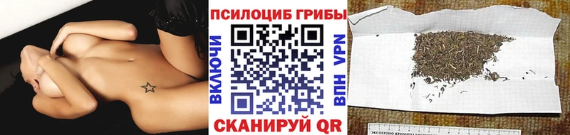 hydra онион  продажа наркотиков  Нальчик  Галлюциногенные грибы Magic Shrooms 